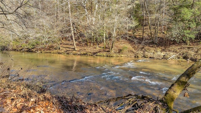 view of water feature