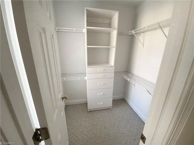 walk in closet with light carpet