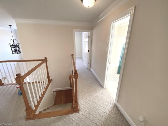 corridor with crown molding and carpet flooring