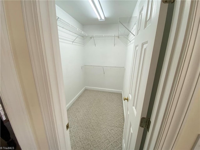 spacious closet with carpet floors