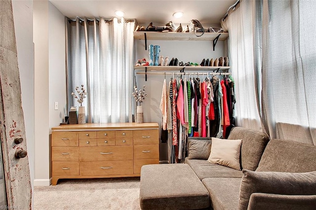 interior space featuring a closet and multiple windows