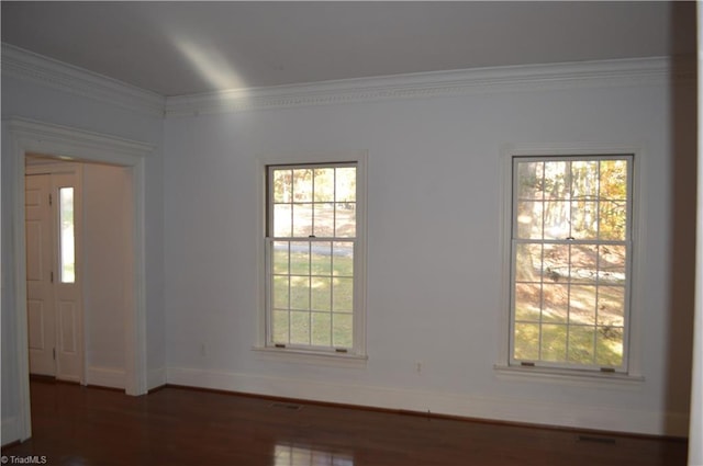 interior space featuring dark wood-type flooring and crown molding