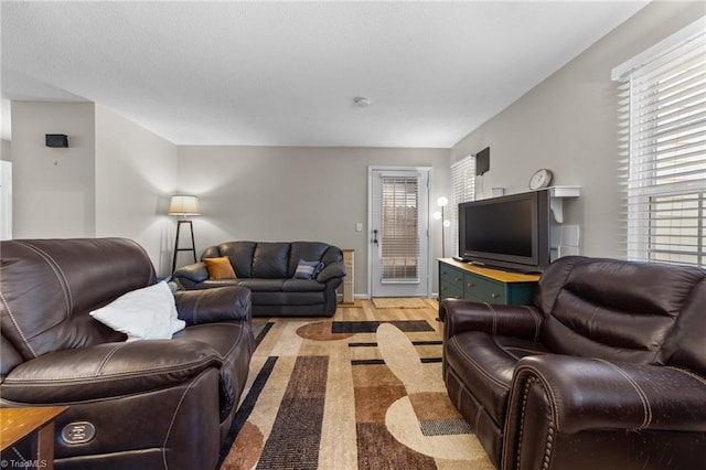 living area with a textured ceiling and light wood-type flooring