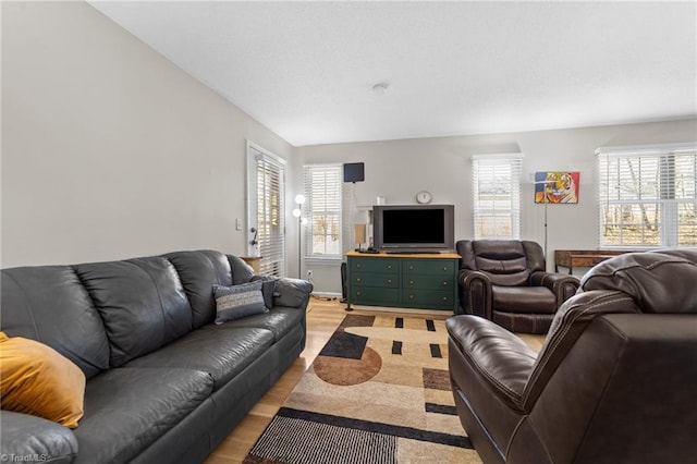 living area featuring a healthy amount of sunlight and light wood-style flooring