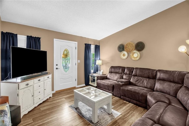 3809 Evergreen Dr, Trinity, NC 27370 - living room with wood finished floors and vaulted ceiling