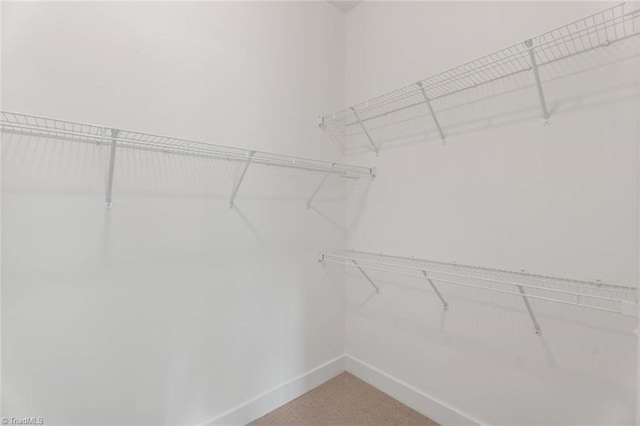 spacious closet with light colored carpet