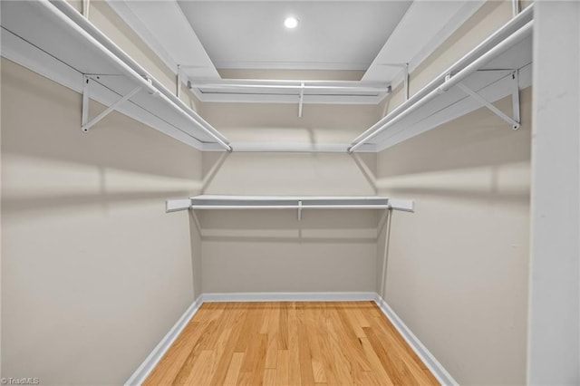 walk in closet with wood finished floors