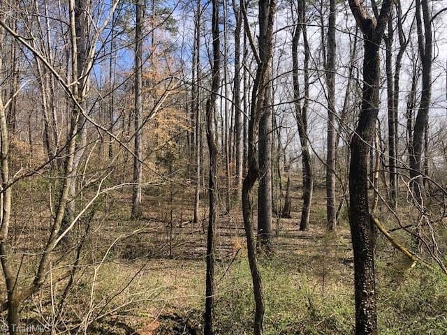 Listing photo 2 for 0 River Ridge Rd, Pfafftown NC 27040