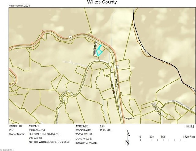 Listing photo 3 for TBD US Highway 21, Thurmond NC 28683