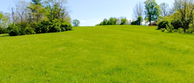 Winchester Ky, Winchester, KY 40391