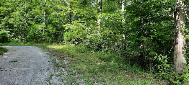 Listing photo 2 for LOT47 Vali Cir, London KY 40741