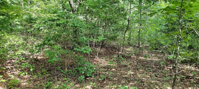 Listing photo 3 for LOT47 Vali Cir, London KY 40741