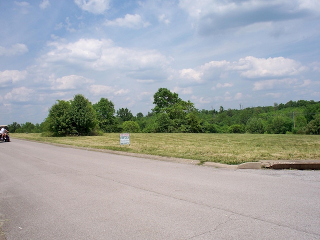 Listing photo 2 for LOT30 Georgia Way, Lawrenceburg KY 40342