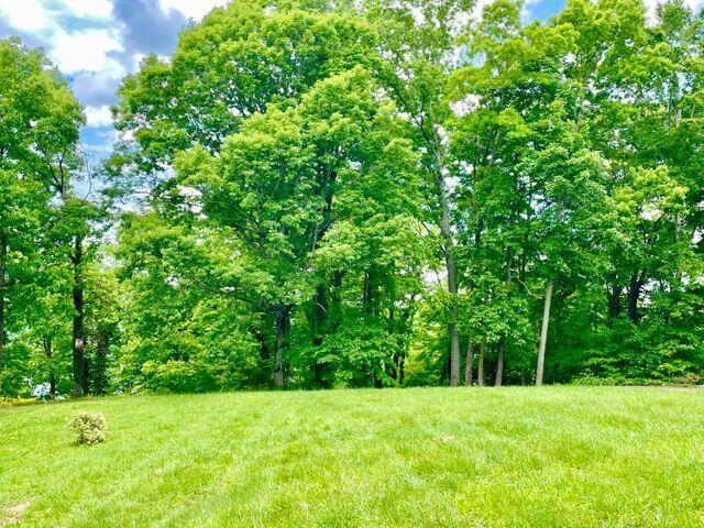 44 Green Hills Estates Rd, Monticello KY, 42633 land for sale