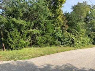 567 Cart Bell Ridge Rd, Monticello KY, 42633 land for sale