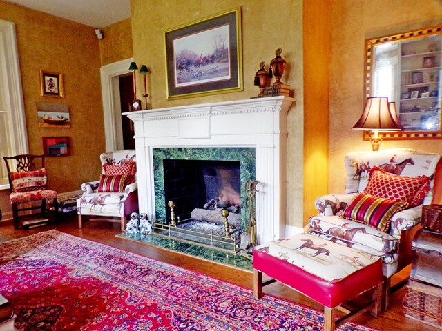 living room featuring a fireplace and dark wood-type flooring