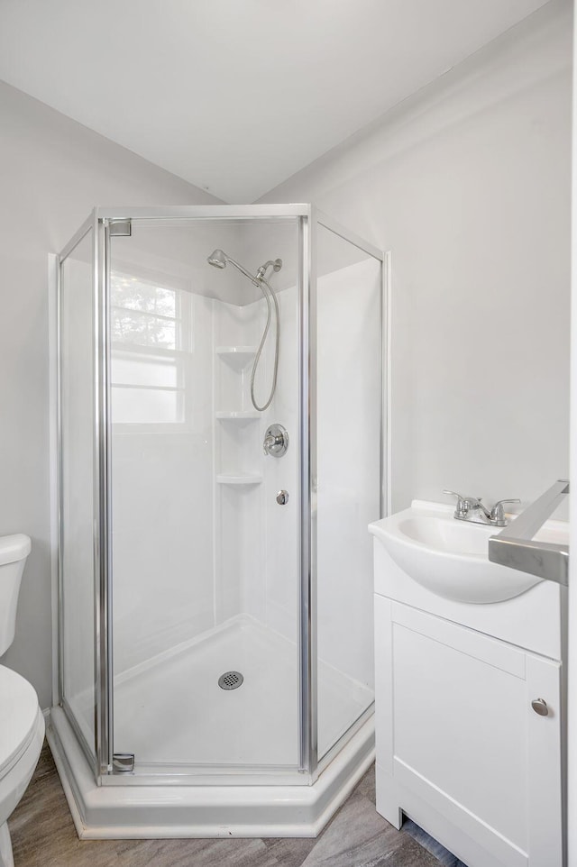 bathroom featuring toilet, vanity, and a shower with shower door