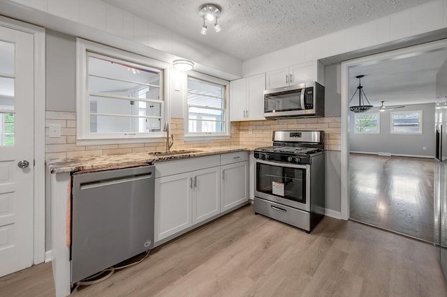 kitchen featuring light hardwood / wood-style floors, a healthy amount of sunlight, and appliances with stainless steel finishes