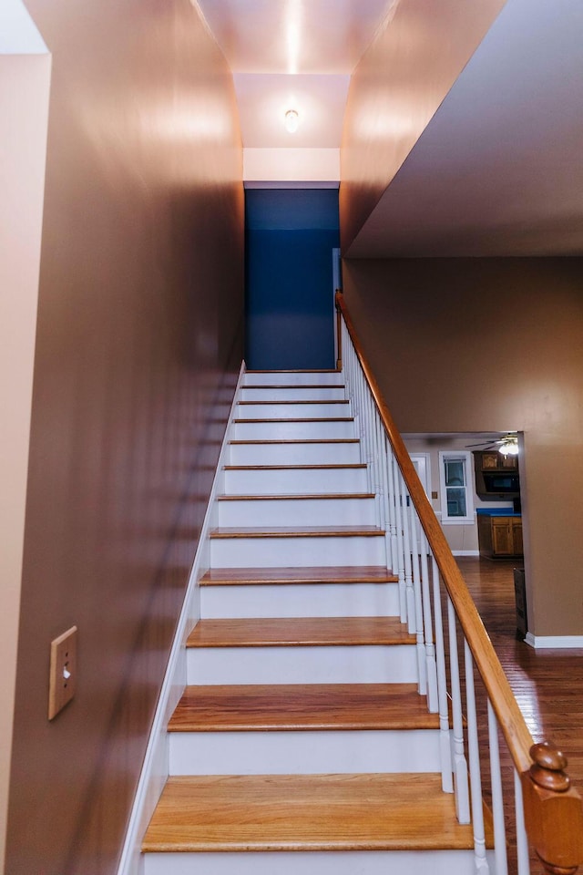 staircase with dark hardwood / wood-style floors