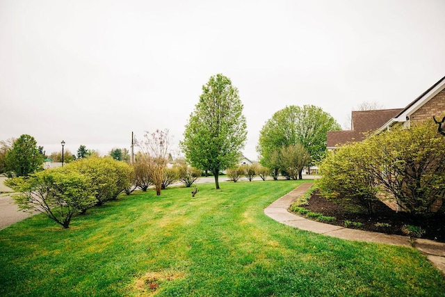 view of nearby features with a yard