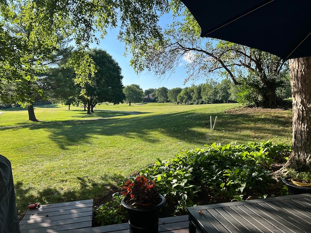 view of front of house featuring a garage and a front lawn