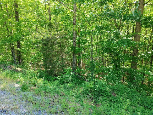 Listing photo 2 for LOT6 Woods Trail Dr, Irvine KY 40336