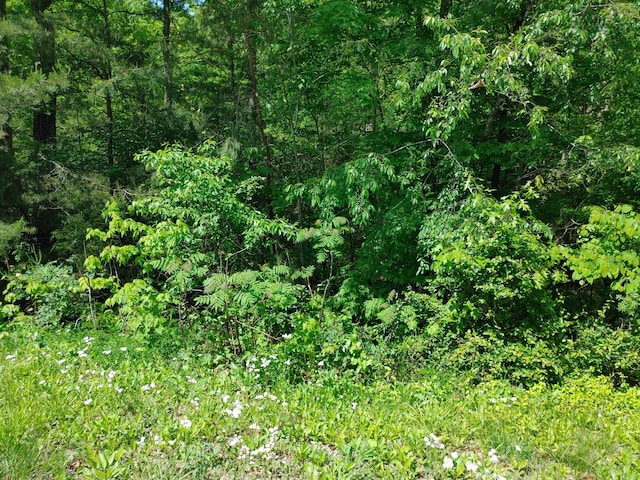 Listing photo 3 for LOT6 Woods Trail Dr, Irvine KY 40336