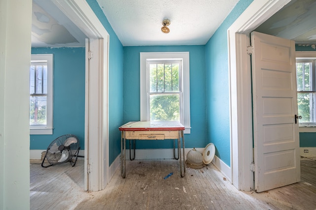 interior space with a textured ceiling, a wealth of natural light, and light wood-type flooring