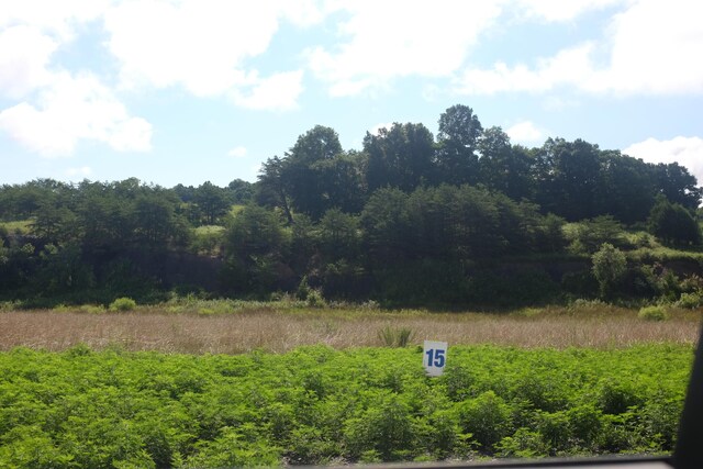65 Dove Ln, East Bernstadt, KY 40729