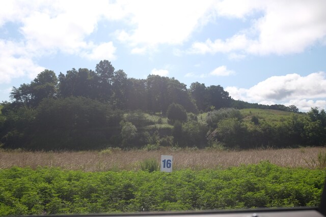 65 Dove Ln, East Bernstadt, KY 40729
