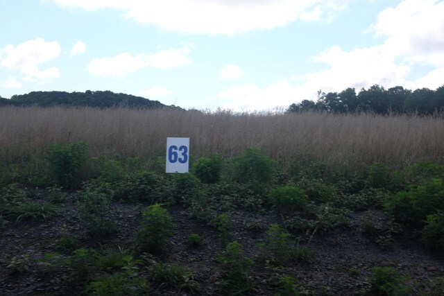 65 Dove Ln, East Bernstadt, KY 40729