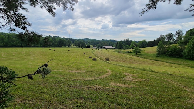 view of yard featuring a rural view