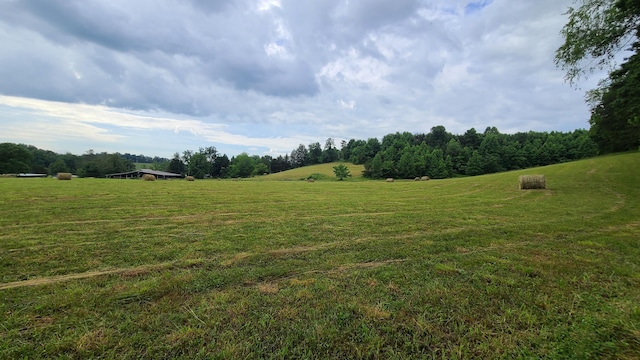 view of local wilderness with a rural view