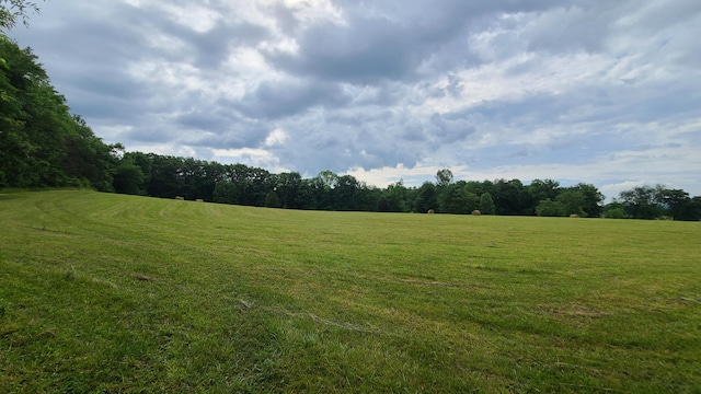 view of local wilderness with a rural view