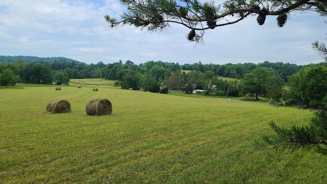 view of yard with a rural view