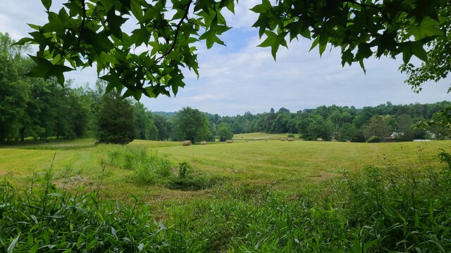 view of mother earth's splendor with a rural view