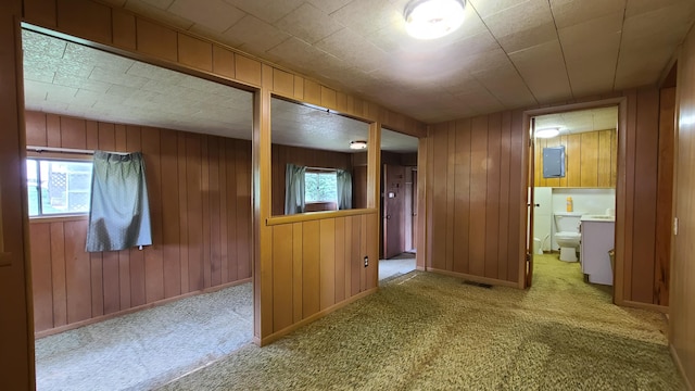 interior space with light colored carpet and wood walls