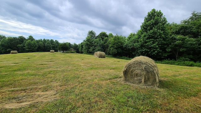 view of yard with a rural view