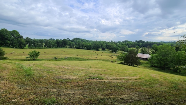 view of yard featuring a rural view