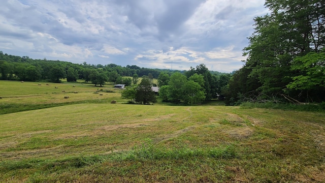 view of yard with a rural view