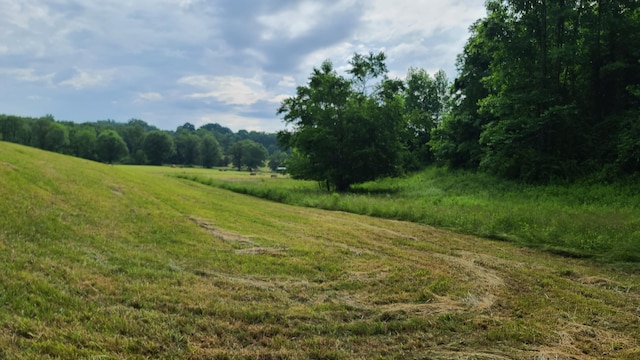 view of local wilderness with a rural view