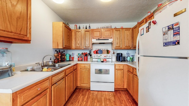 kitchen featuring light hardwood / wood-style flooring, white appliances, a textured ceiling, and sink