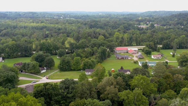 view of bird's eye view