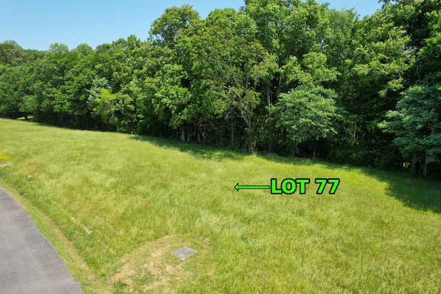 Listing photo 3 for 77 Meadows Loop, Russell Springs KY 42642