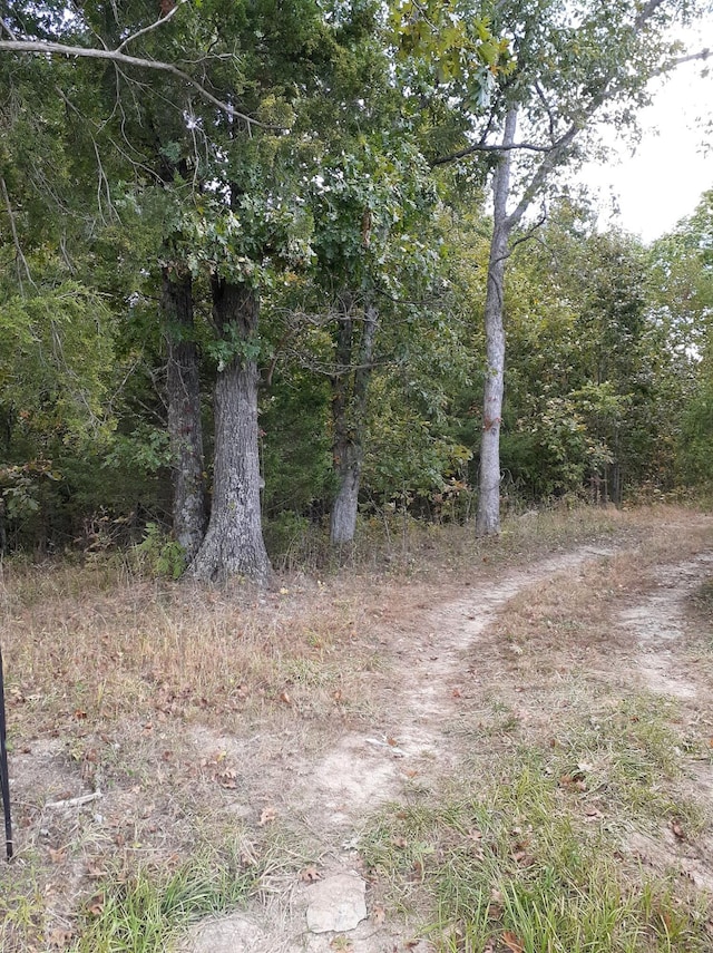 Listing photo 3 for LOT15 Apple Ln, Cynthiana KY 41031