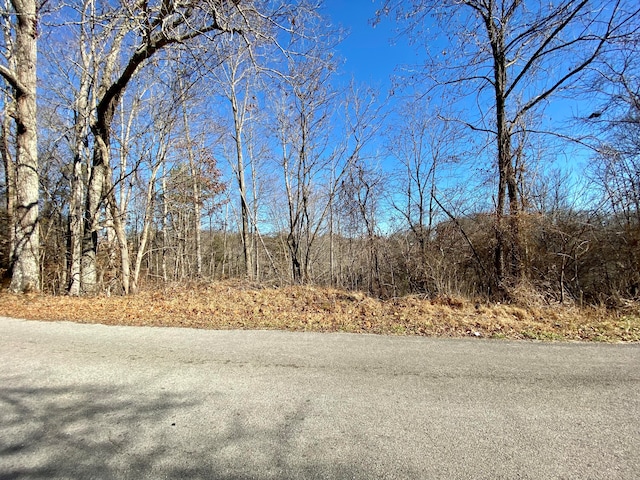 Listing photo 2 for 0 Bridge Hollow Rd, Somerset KY 42503