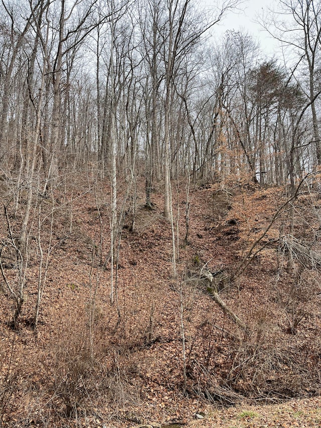 TBD N Wilson Ave, Morehead, KY 40351