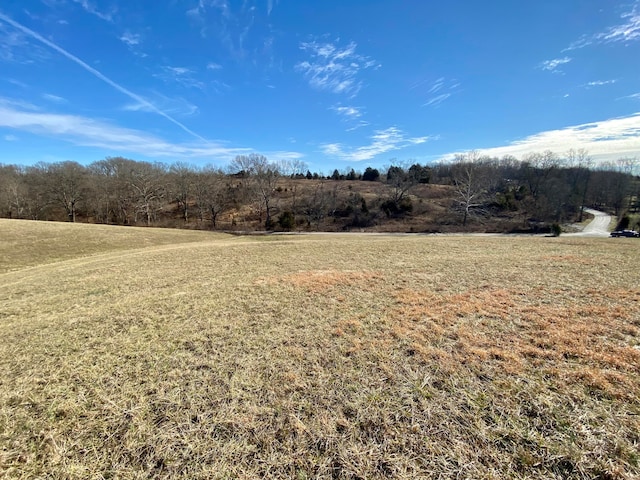 Listing photo 3 for 0 Briar Fork Rd, Sanders KY 41083