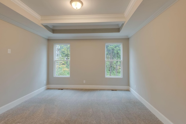 carpeted empty room with a raised ceiling and ornamental molding