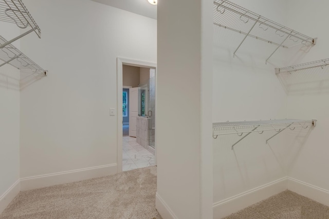 walk in closet featuring light colored carpet